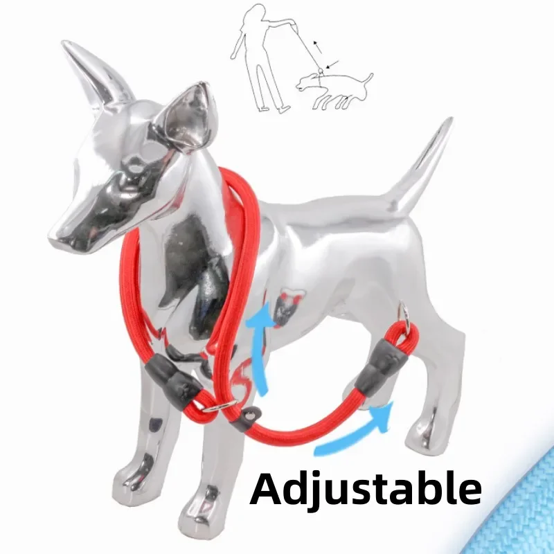 Coleira de Nylon para Cães com Fivela Ajustável - Imagem 2