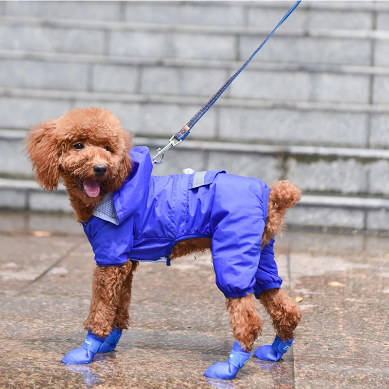 Bota de Borracha para Cães e Gatos Antiderrapante e À Prova D'Água - Imagem 2