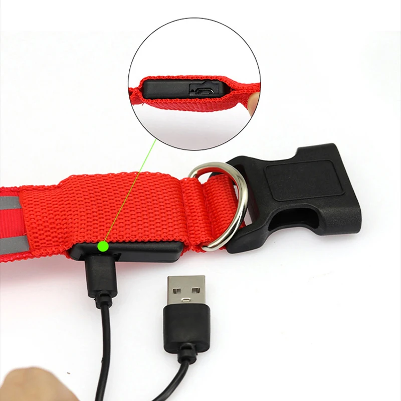 Coleira LED para Cães e Gatos Recarregável USB Refletiva - Imagem 2