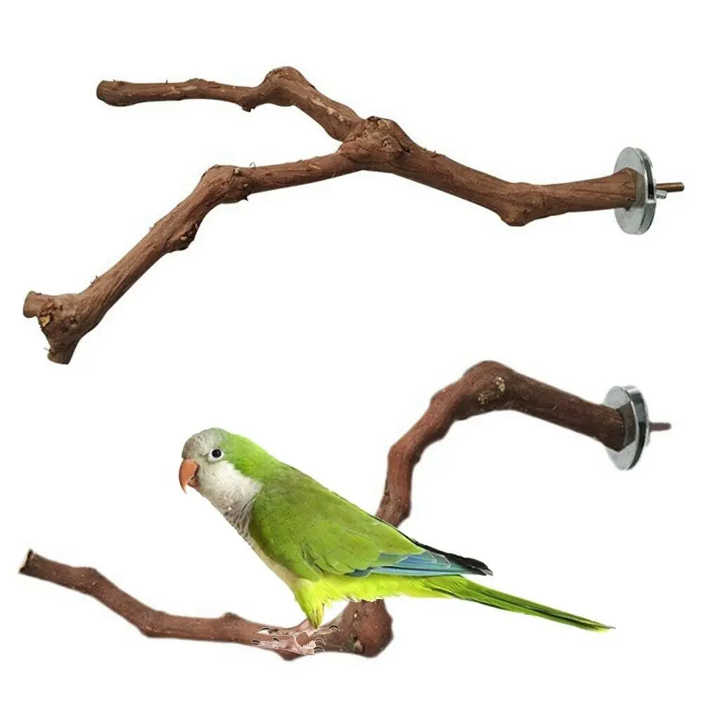 poleiro de madeira natural para pássaros