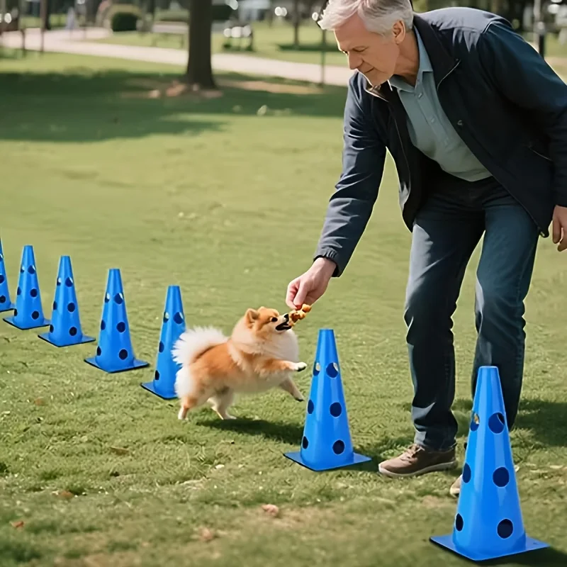 Kit Agilidade para Cães com Balde e Suporte para Barreiras - Image 6