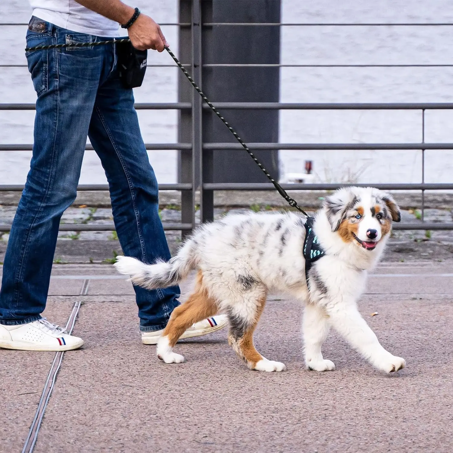 Trela para Cães de 2m Refletiva com Alça Acolchoada - Imagem 6