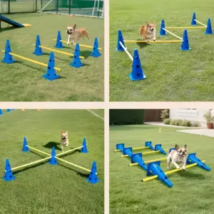kit agilidade para cães com balde