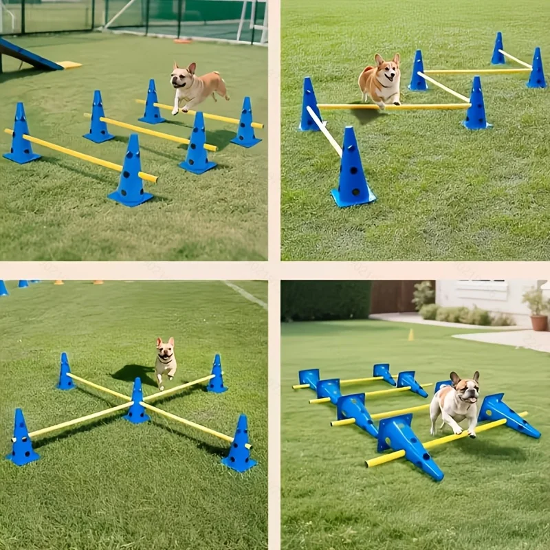 kit agilidade para cães com balde