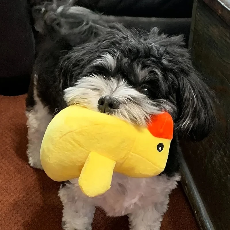 Brinquedo de Pelúcia para Cães com Som Kit 7 Peças - Imagem 6