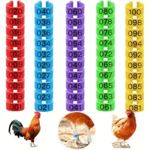 anéis de pé para pássaros