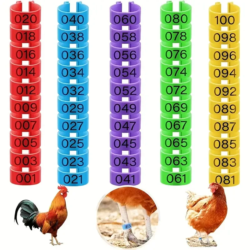 anéis de pé para pássaros