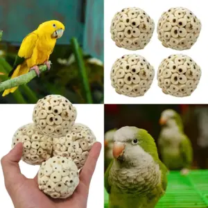 brinquedo bola de sola para pássaros