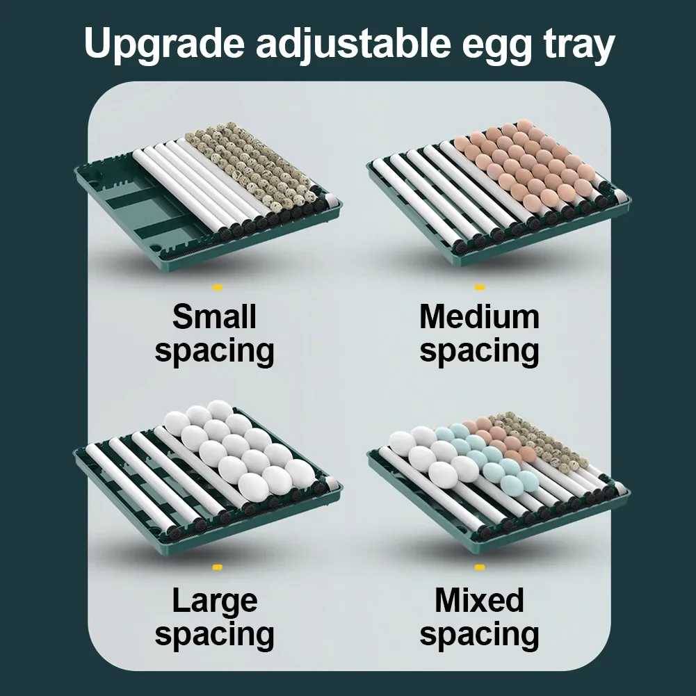 Incubadora de Ovos Automática para Aves com Viragem e Ovoscópio - Imagem 4