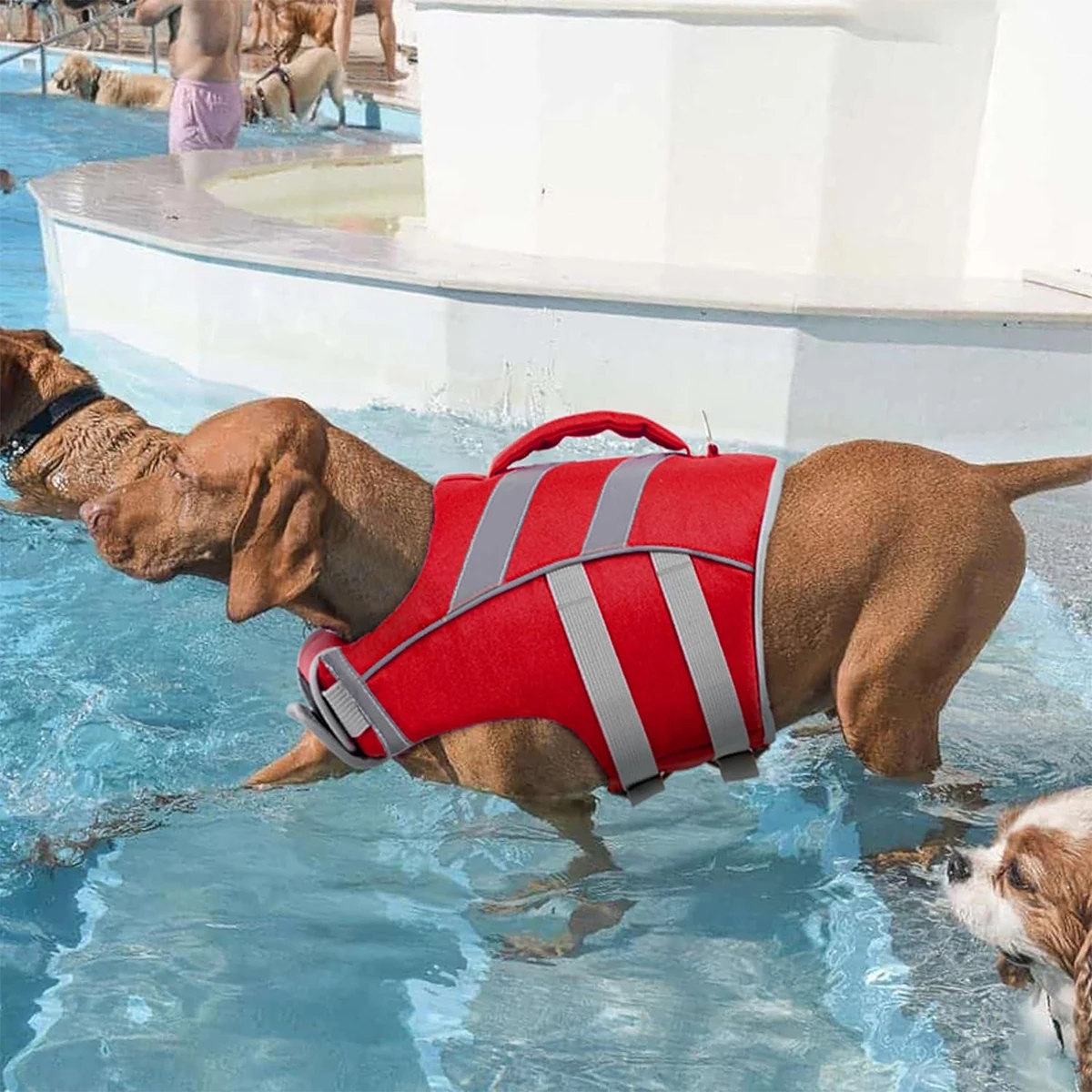 Colete Salva-Vidas para Cães com Faixas Refletivas e Bastão Extra - Imagem 6