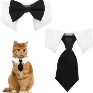 coleira com gravata borboleta para gatos