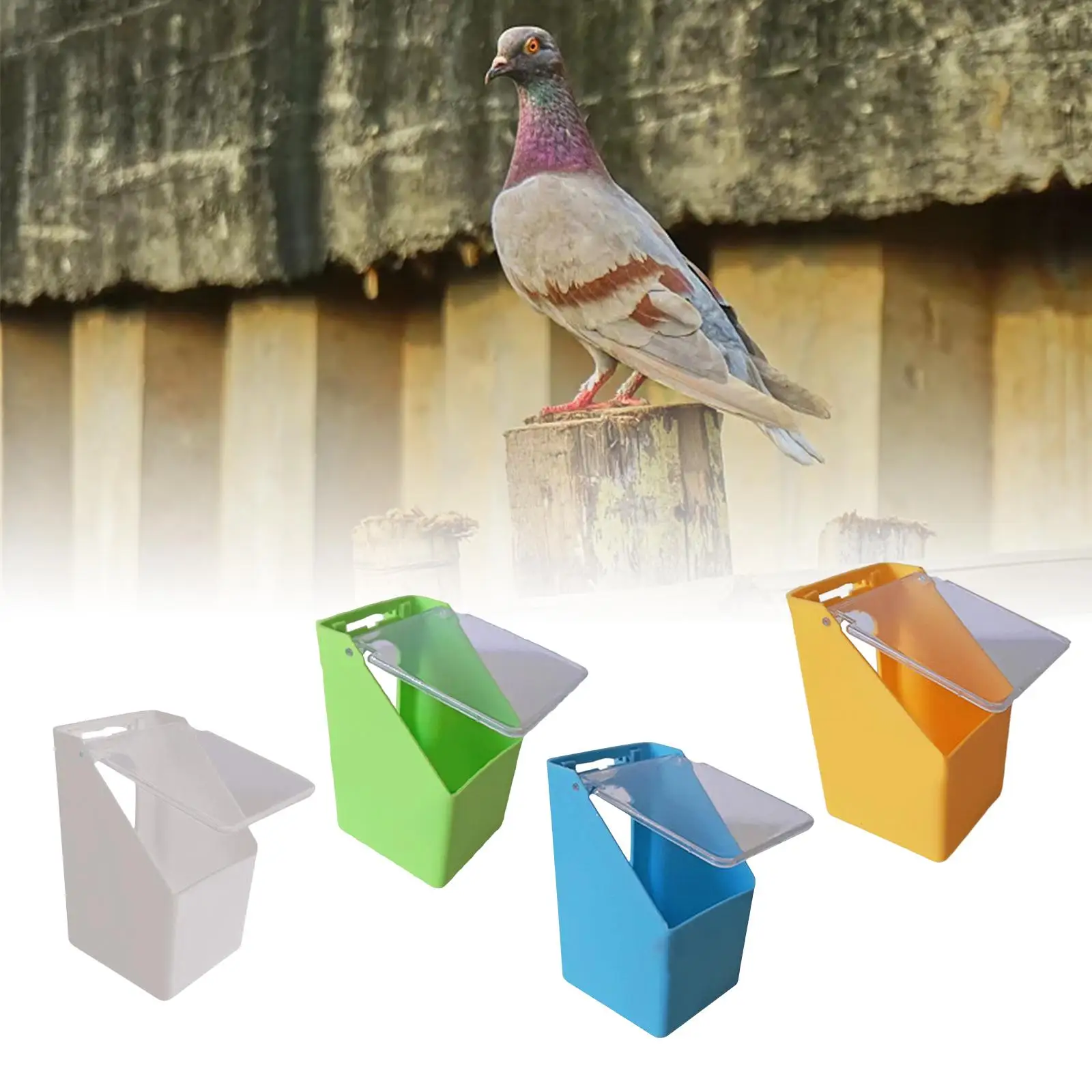 Comedouro para Pássaros e Pombos 14 cm de Plástico com Tampa Transparente - Imagem 2