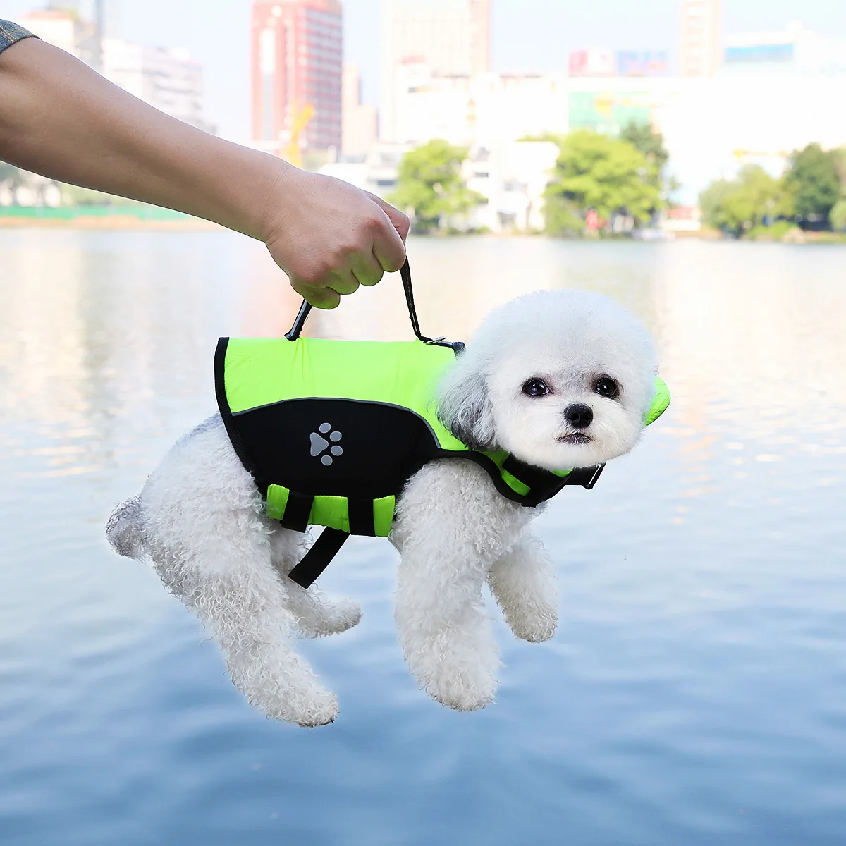 Colete Salva-Vidas para Cães Pequenos, Médios e Grandes - Image 4