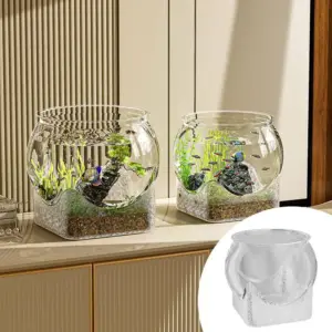 aquário de mesa para peixe ornamental