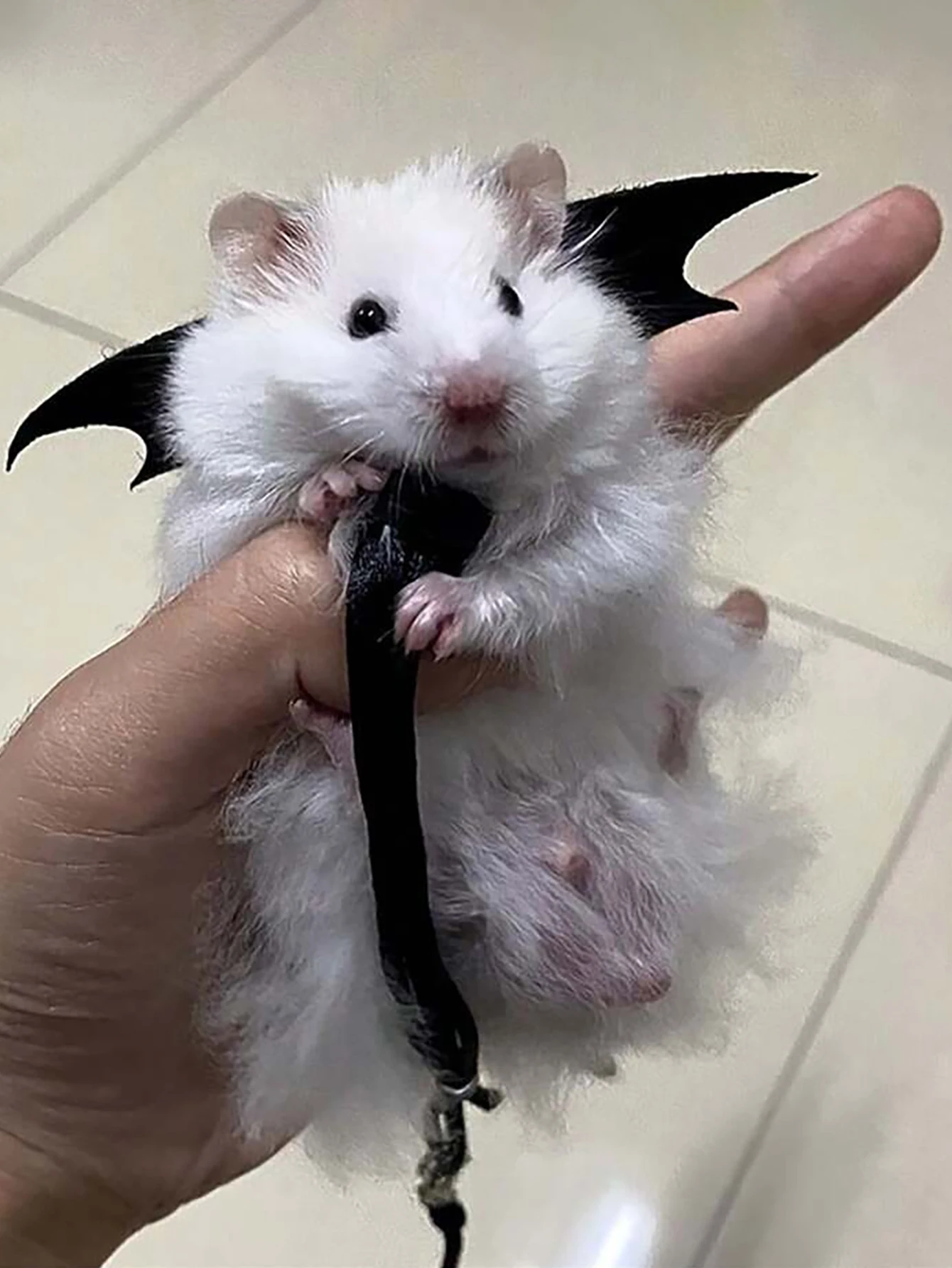 Colete para Hamster e Rato com Alças Ajustáveis para Passeio - Imagem 2
