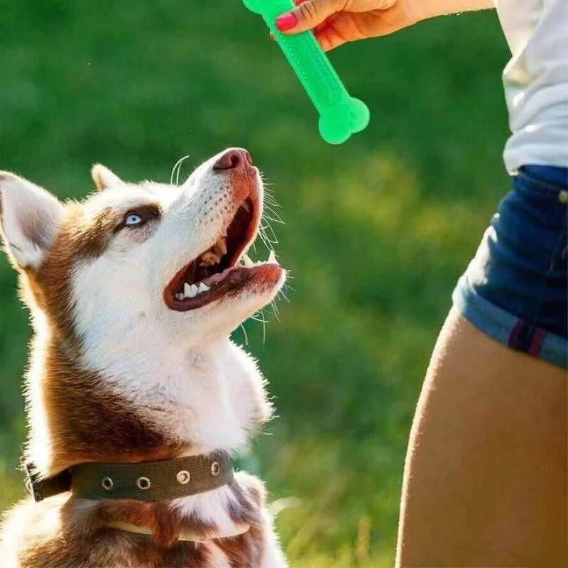 Brinquedo de Borracha para Cães em Formato de Osso 15 cm - Imagem 2