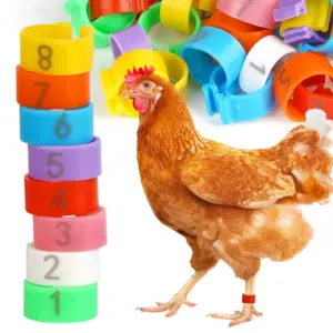 anel de perna numerado para aves