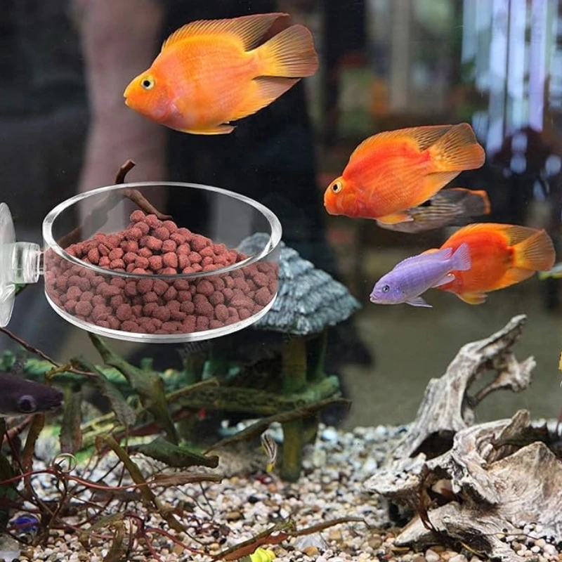 Prato Alimentador para Camarão de Aquário Mini com Ventosa Acrílica - Imagem 3