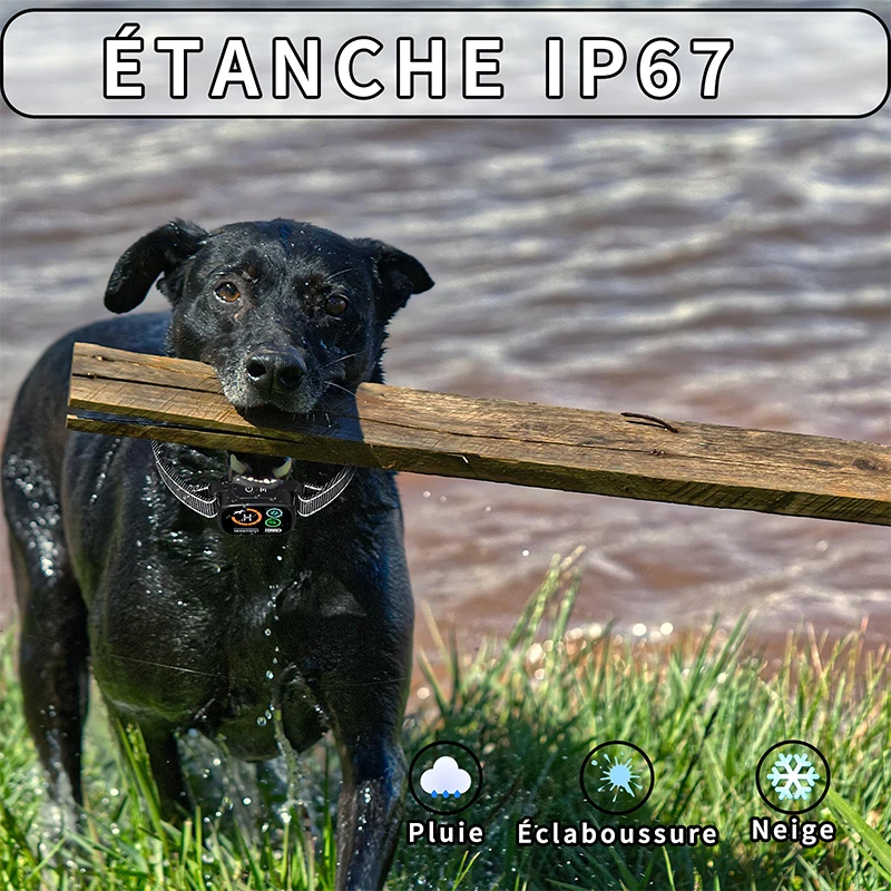 Coleira para Cães com Vibração e Som Recarregável IP67 - Imagem 4