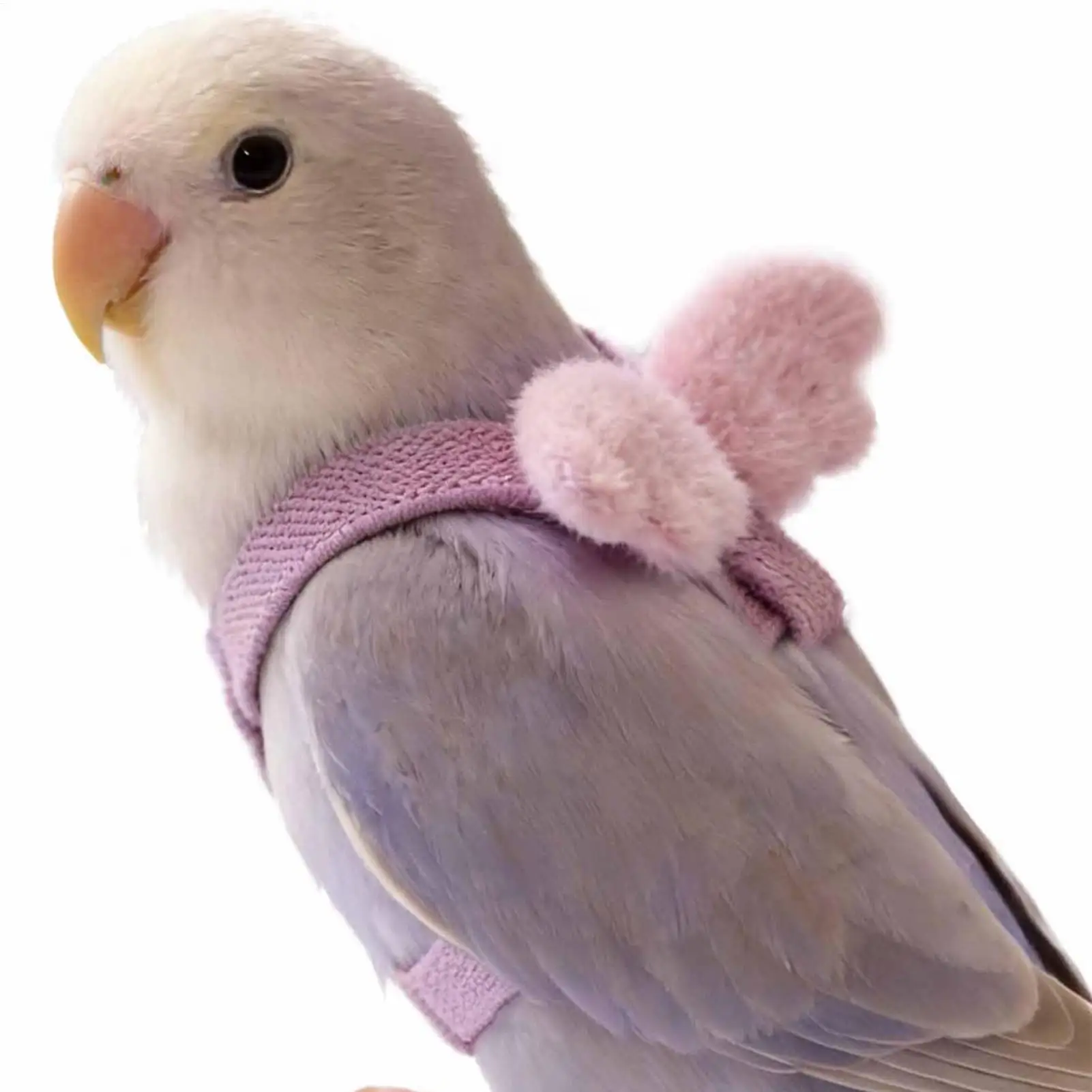 Coleira Ajustável para Papagaios e Conures com Corda de Voo - Imagem 5