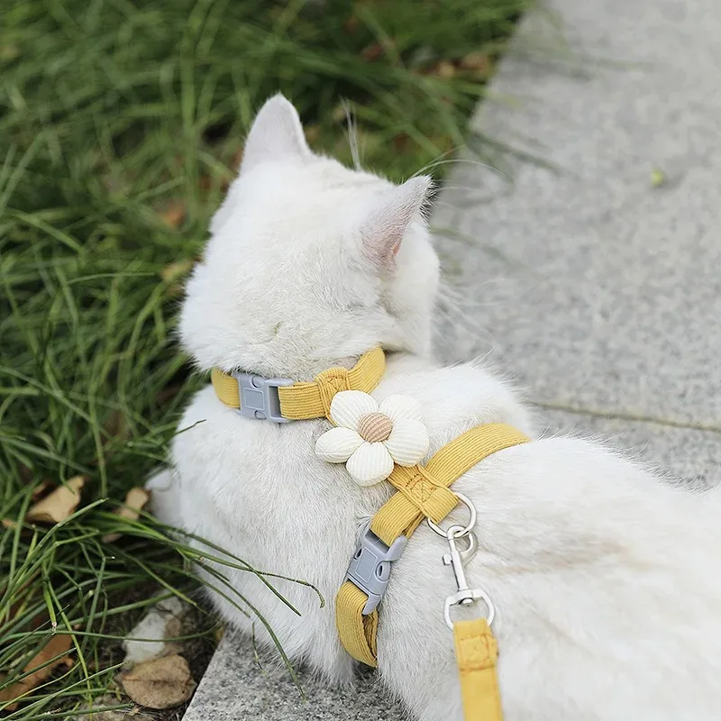 Coleira e Peitoral para Gatos e Cães Pequenos Ajustável para Passeio - Imagem 2