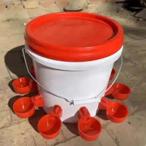 bebedouro automático para aves