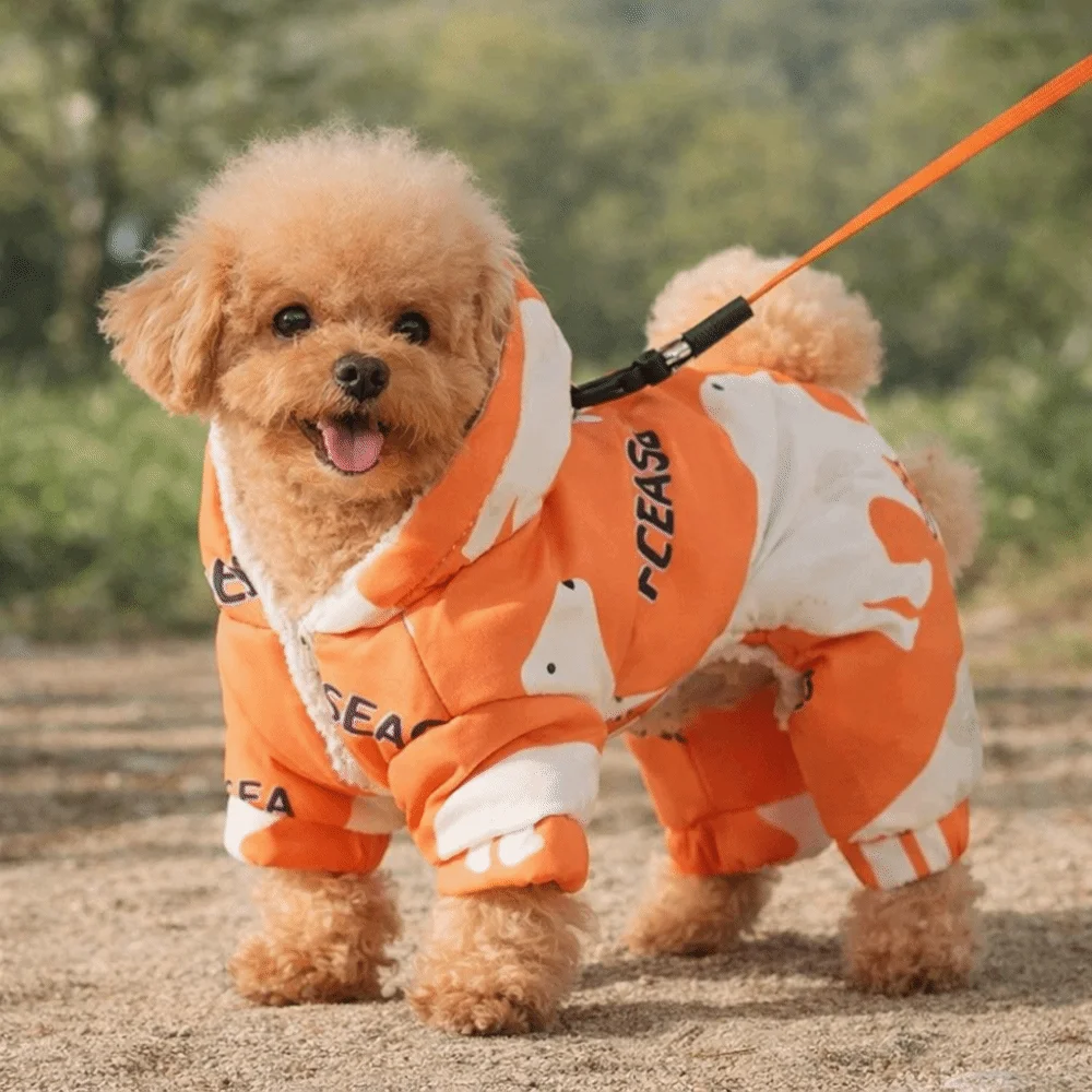 roupa de inverno para cães