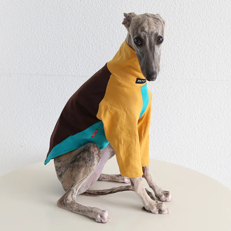Suéter de Lã para Cães Galgos Gola Alta Preto - Imagem 4