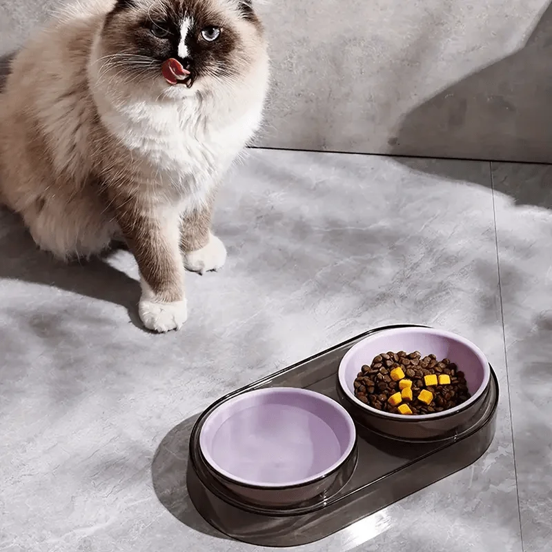 Comedouro Duplo Elevado para Cães e Gatos Pequenos com Suporte Antiderrapante - Imagem 4