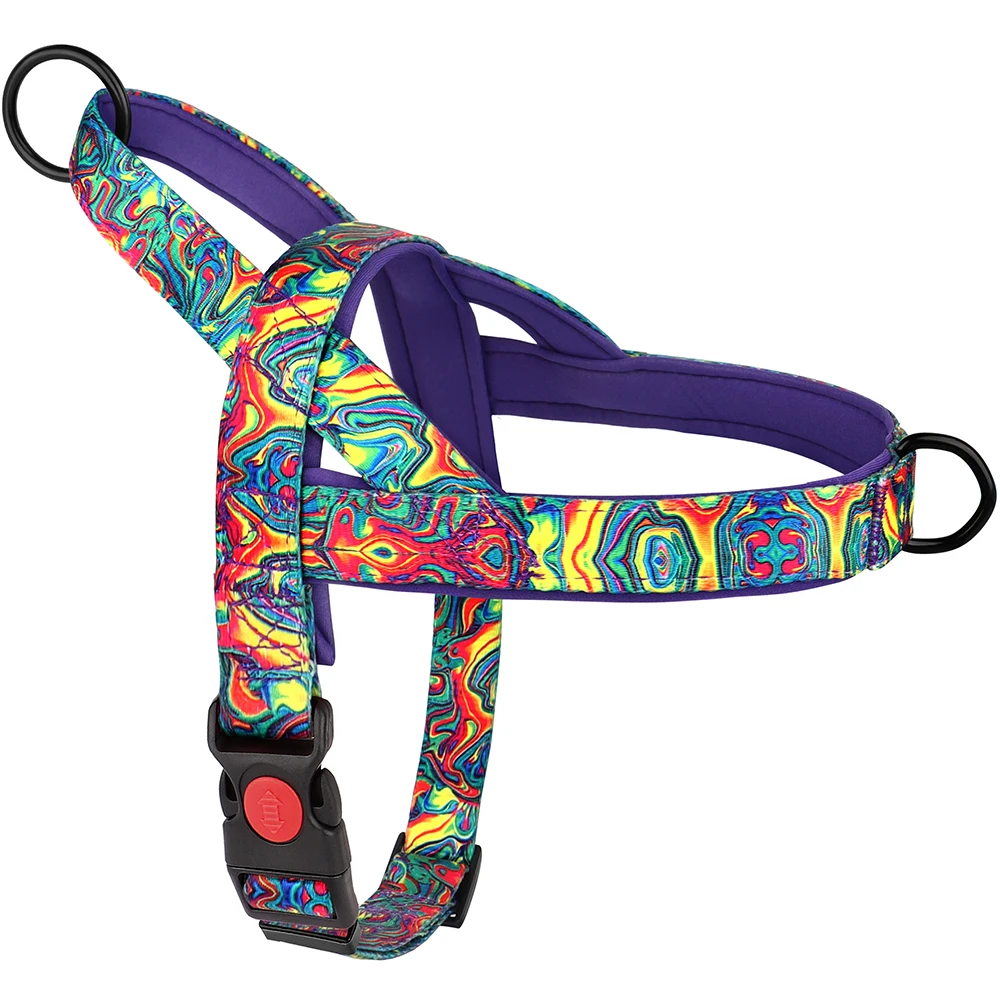 Arnês para Cães de Nylon com Estampa Colorida e Controle Rápido - Imagem 2