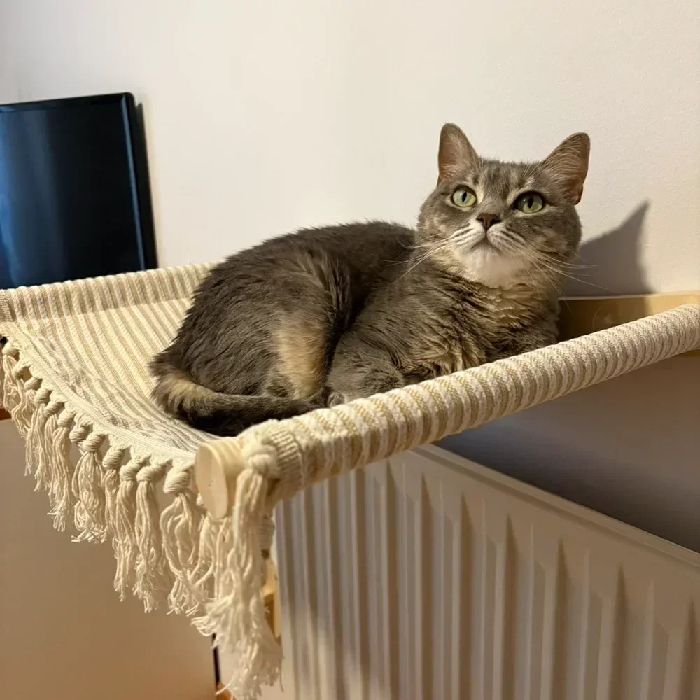 Torre de Escalada para Gatos de Parede com Arranhador Sisal - Imagem 5