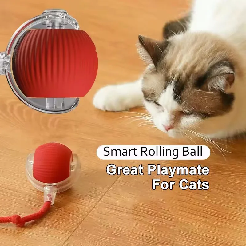 Bola Interativa para Cães e Gatos Pequenos Recarregável USB - Image 2