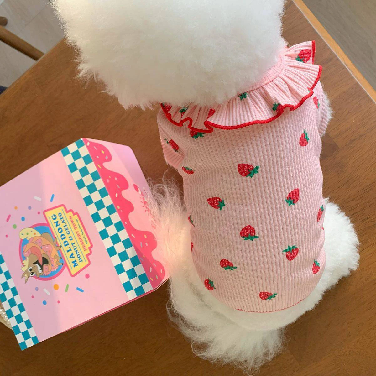 Roupa para Cães e Gatos Pequenos de Morango com Colete Respirável - Imagem 3