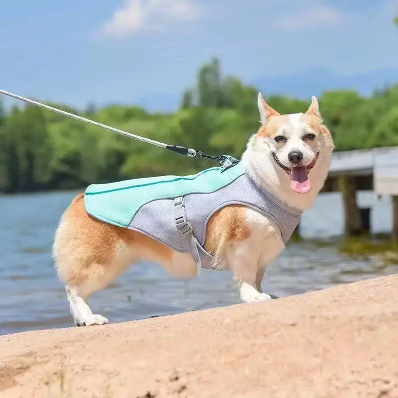 Colete para Cães Reflexivo com Liberação Rápida para Verão - Image 2