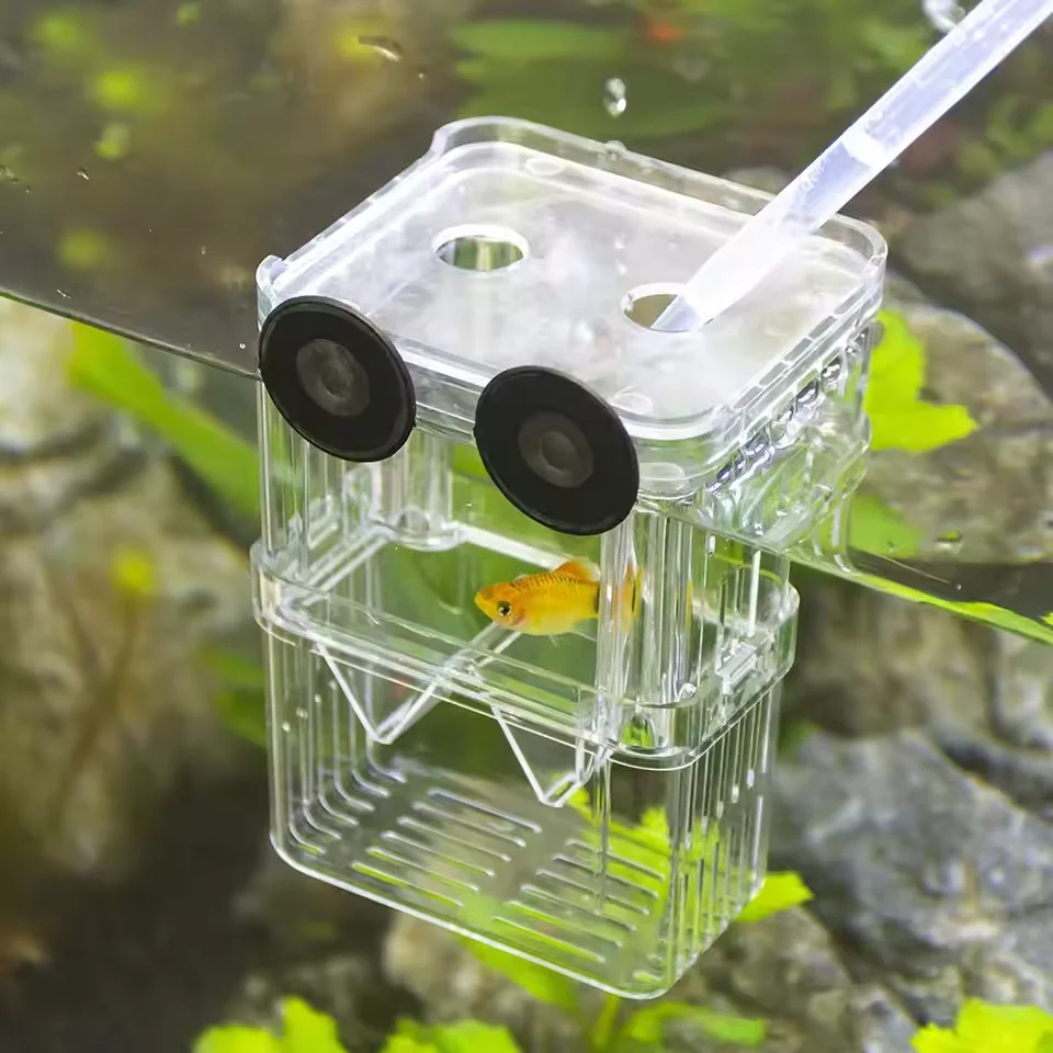 Caixa de Isolamento para Peixes de Aquário Betta Acrílico - Imagem 4
