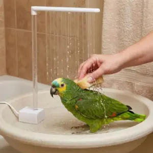 bomba de banho para pássaros usb