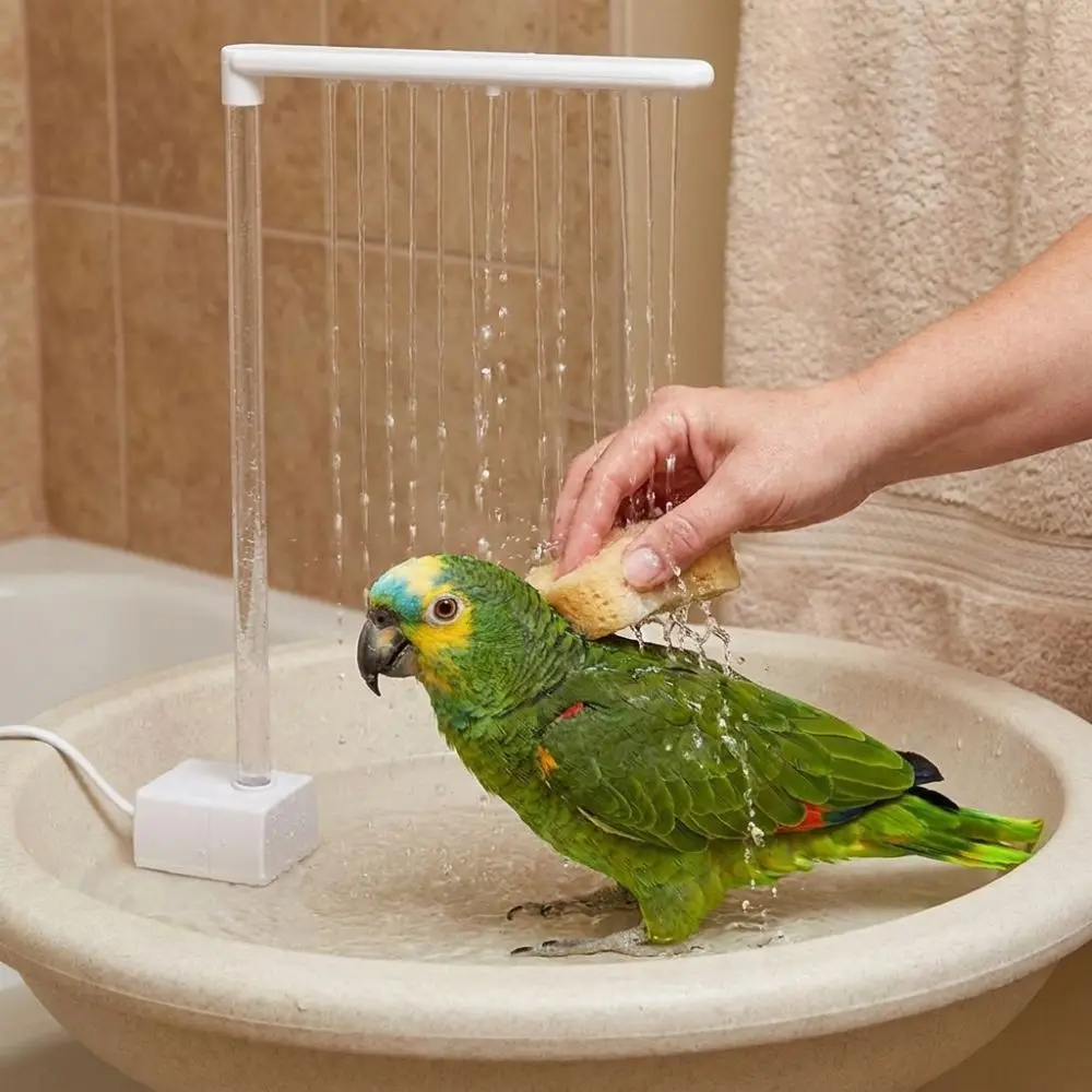 bomba de banho para pássaros usb