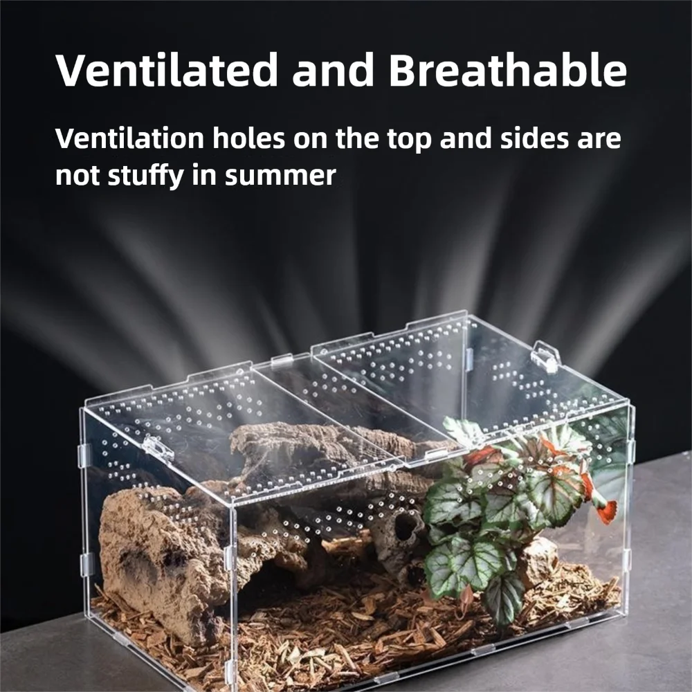 Habitat de Acrílico para Répteis Transparente Anti-fuga - Imagem 2
