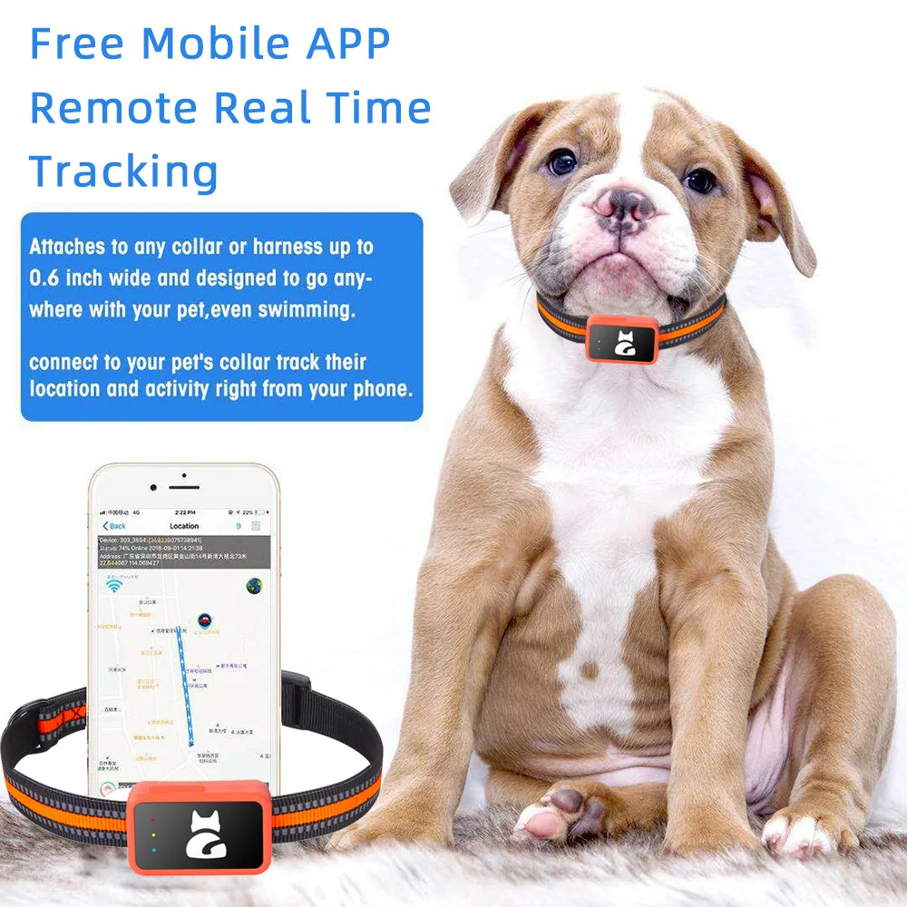 Rastreador GPS 4G para Cães e Gatos Amarelo Claro com Alerta de Fuga - Imagem 5