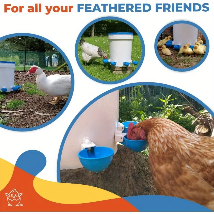 Bebedouro Automático para Aves de Quintal com Vedação Antivazamento - Imagem 6