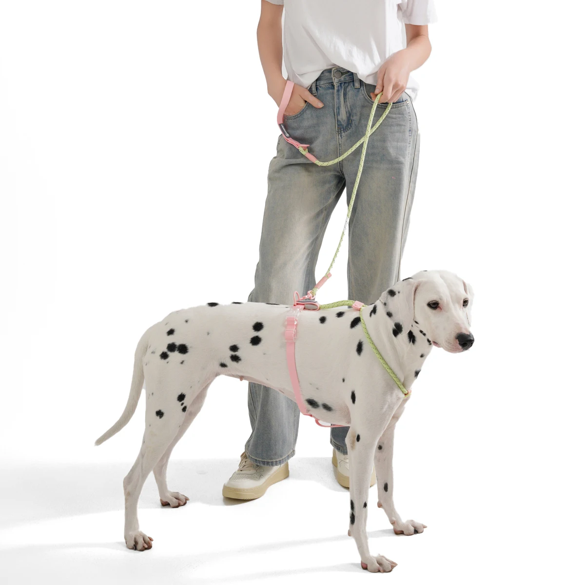 Coleira para Cães Pequenos e Médios de PVC Biothane e Nylon Refletivo - Image 4