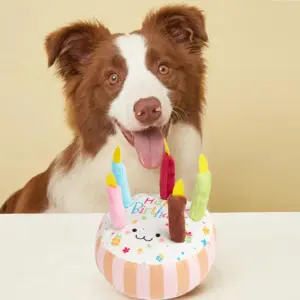 brinquedo bolo de aniversário para cães