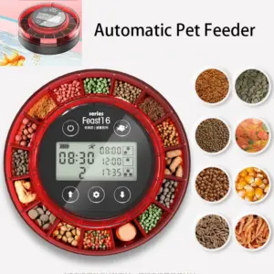 alimentador automático para aquário com temporizador