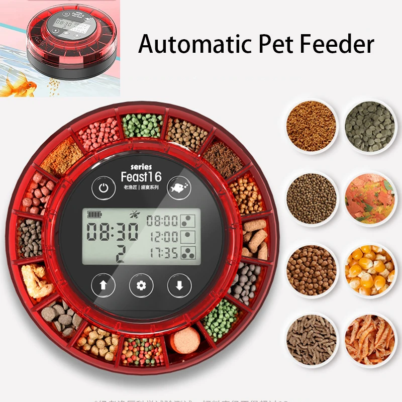 alimentador automático para aquário com temporizador