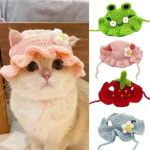 chapéu para gatos e filhotes