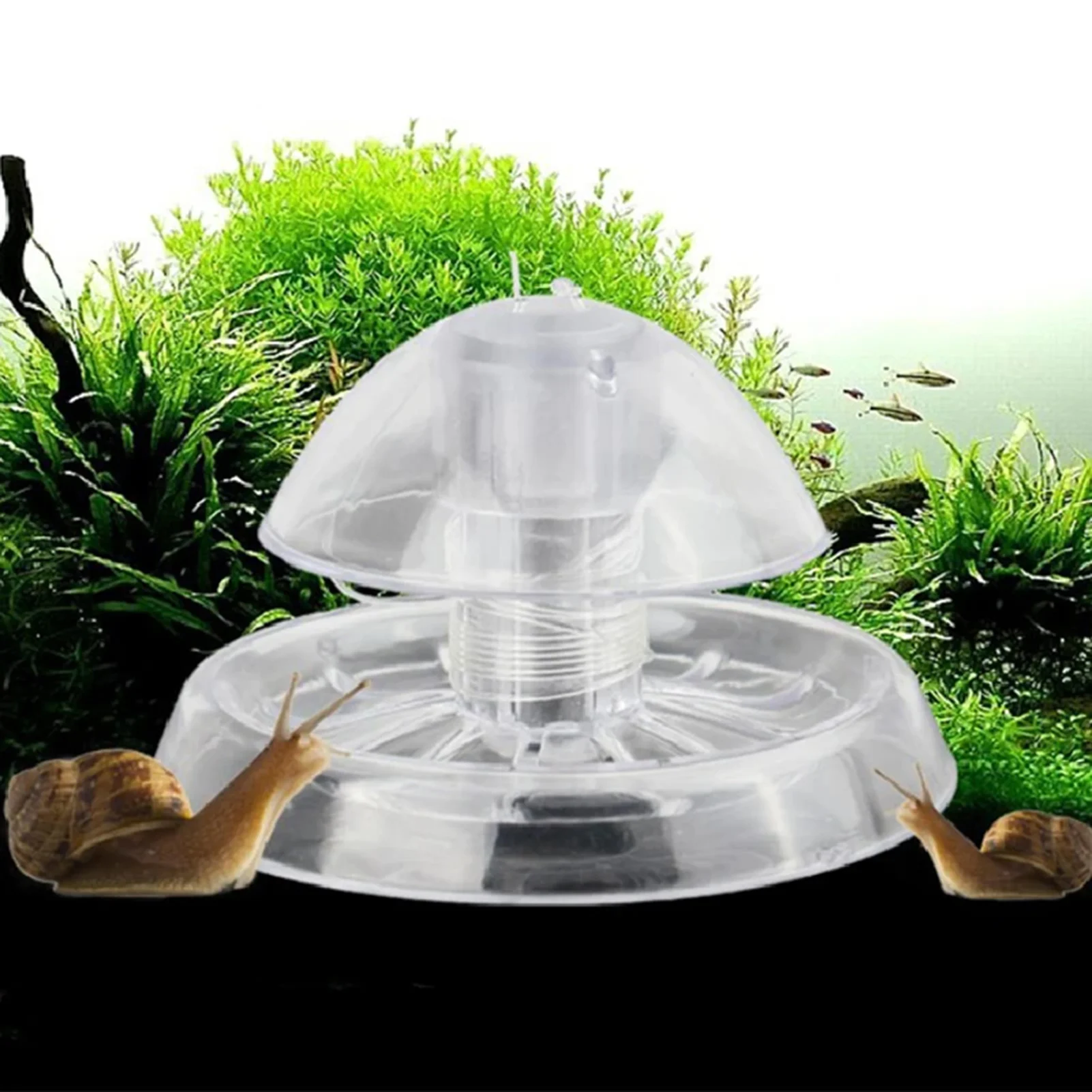 Armadilha para Caracóis de Aquário Transparente de Plástico 6 cm - Imagem 3