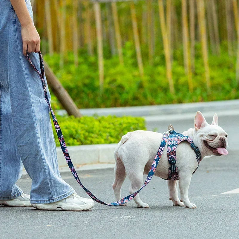 Guia para Cães e Gatos Truelove Acolchoada com Alça de Neoprene - Image 6