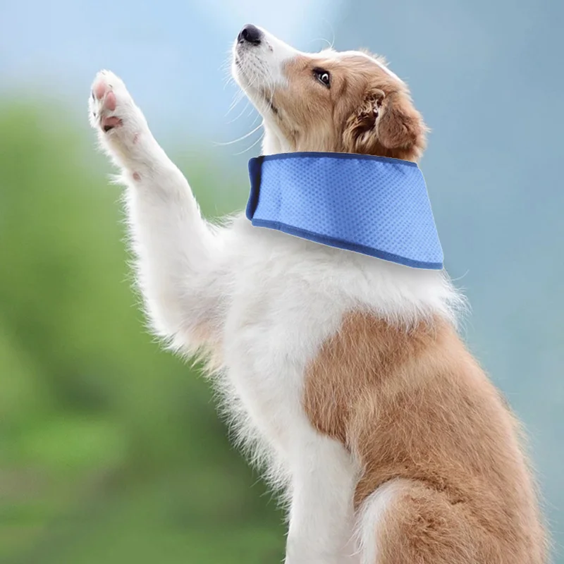 Lenço Refrescante para Cães Ajustável Pós-Imersão em Poliéster - Image 4