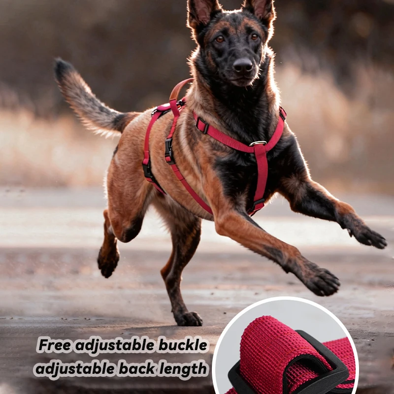 Coleira Peitoral Anti-Puxão para Cães Grandes de Nylon - Imagem 5