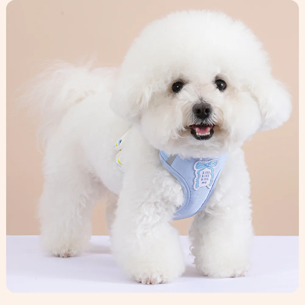 Coleira e Guia para Cães Pequenos e Médios com Laço para Passeio - Imagem 2